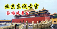 男男鸡巴操菊花视频中国北京-东城古宫旅游风景区